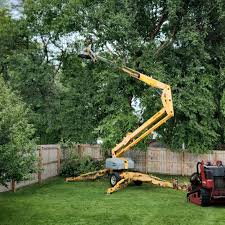 Best Storm Damage Tree Cleanup  in Alondra Park, CA