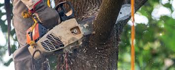 Best Soil Testing and Treatment  in Alondra Park, CA